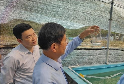 红九棘鲈苗种批量化培育项目通过现场验收