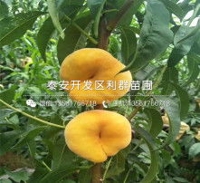高清图片