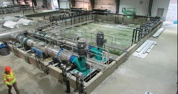 资深外企如何看中国水产养殖业转型 biomar副总裁退休有感