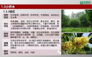 绿城集团园林软景苗木图谱,非常全面,值得借鉴 收藏